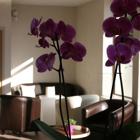Hotel Bel Horizon Saint-Chely-d'Apcher Luaran gambar